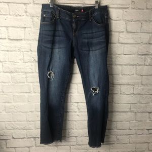 Torrid Crop Distressed Jeans